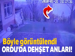 Ordu'da dehşet anları saniye saniye kaydedildi