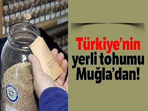 Türkiye'nin yerli tohumu Muğla'dan