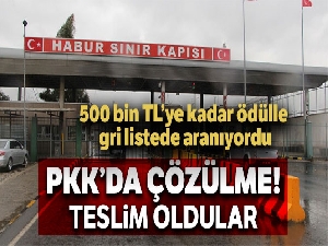 5 terörist daha güvenlik güçlerine teslim oldu