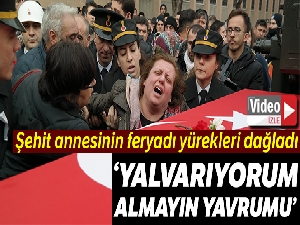 Şehit annesinden son sözler: "Yalvarıyorum size, almayın yavrumu"
