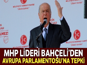 MHP'den Avrupa Parlamentosuna tepki