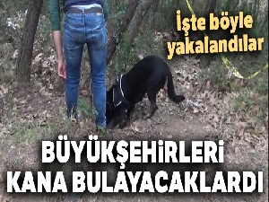Büyükşehirleri kana bulayacaklardı, işte böyle yakalandılar