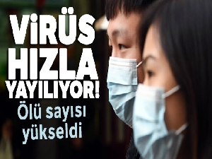 Korona virüsü salgını nedeniyle ölü sayısı 813'e yükseldi