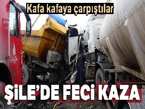 Şile'de iki hafriyat kamyonu kafa kafaya çarpıştı: 2 yaralı