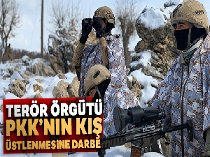 Terör örgütü PKK'nın kış üstlenmesine darbe