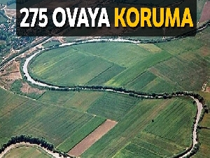 275 ovaya koruma