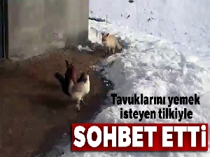 Tavuklarını yemek isteyen tilkiyle dakikalarca sohbet etti