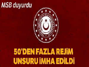 MSB: '50'den fazla rejim unsuru imha edildi'