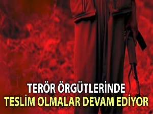 Şanlıurfa'da bir terörist teslim oldu