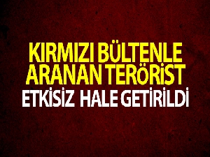 Kırmızı bültenle aranan terörist etkisiz hale getirildi