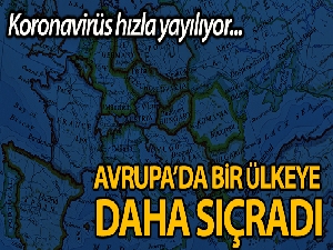 İsviçre'de ilk korona virüsü vakası