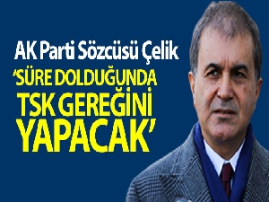AK Parti Sözcüsü Çelik: 'Rejime verilen süre dolduğunda TSK üzerine düşen görevi yerine getirecektir'
