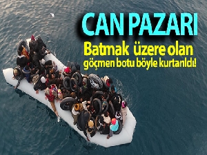 Ayvacık'ta can pazarı