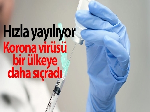 Korona virüs hızla yayılıyor! İki ülkeye daha sıçradı