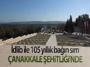 İdlib ile 105 yıllık bağın sırrı Çanakkale Şehitliği'nde