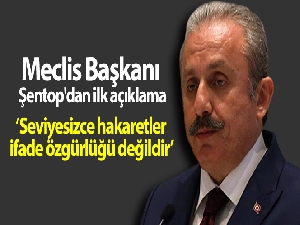 TBMM Başkanı Şentop'tan CHP Grup Başkanvekili Özkoç'a tepki