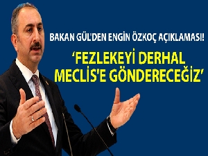 Bakan Gül'den Engin Özkoç açıklaması