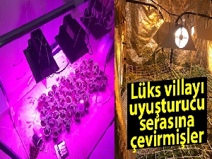 Lüks villayı uyuşturucu serasına çevirmişler
