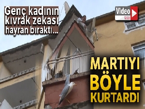Rizeli genç kadın kanadı balkondaki saksı ile demir korkuluk arasına sıkışan martıyı kıvrak zekası ile kurtardı
