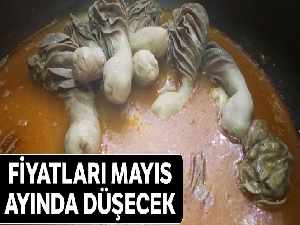 Sakatat fiyatları mayıs ayında düşer