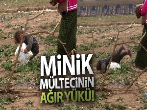Suriyeli minik mültecinin ağır yükü
