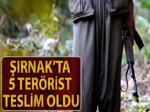 4 terörist ikna yoluyla, 1 terörist de kaçarak Şırnak'ta teslim oldu