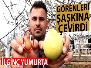 Adıyaman'da ilginç yumurta