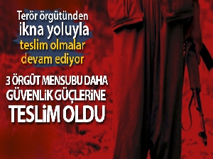 Terör örgütünden ikna yoluyla teslim olmalar devam ediyor