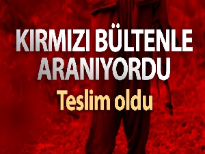 Teslim olan teröristin İnterpol tarafından kırmızı bültenle arandığı öğrenildi