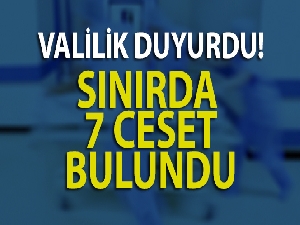 Van Çaldıran'da 7 ceset bulundu