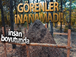 Görünce gözlerine inanamadılar, hemen koruma altına alındı