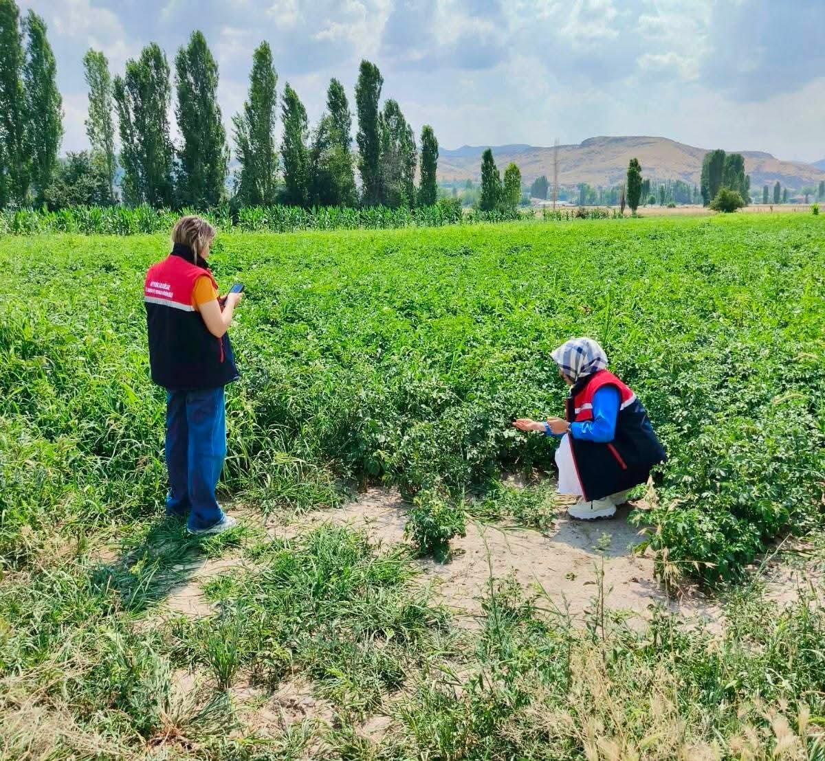 tarim-arazilerinin-korunmasi-calismalari-suruyor
