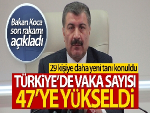 Türkiye'de korona virüsü vaka sayısı 47'ye yükseldi