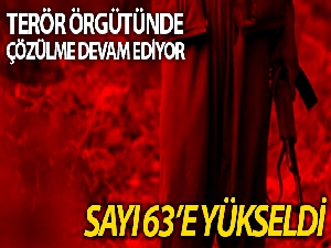 Terör örgütünden ikna yoluyla teslim olmalar devam ediyor