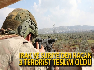 Şırnak ve Mardin'de 3 terörist teslim oldu