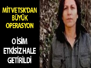 MİT ve TSK'dan büyük operasyon