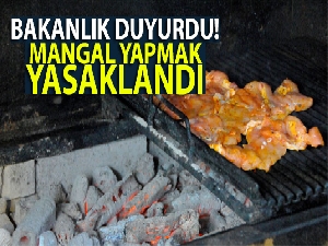 Bakanlık duyurdu! Mangal yapmak yasaklandı