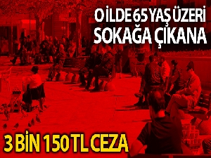 Erzincan'da 65 yaş üzeri keyfi dışarı çıkana 3 bin 150 TL ceza