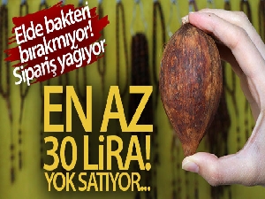 Antibakteriyal tespih: Kuka