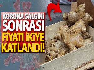 Yaş zencefil fiyatını ikiye katladı