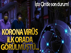 Çin'de 45 korona virüsü vakası kayda geçti