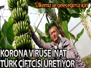 Korona'ya inat Türk çiftçisi üretiyor