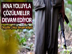 Terör örgütünden ikna yoluyla teslim olmalar devam ediyor