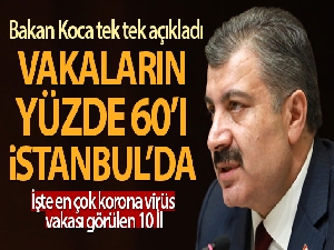 Sağlık Bakanı Fahrettin Koca koronavirüsten en çok vaka görülen 10 ili açıkladı!