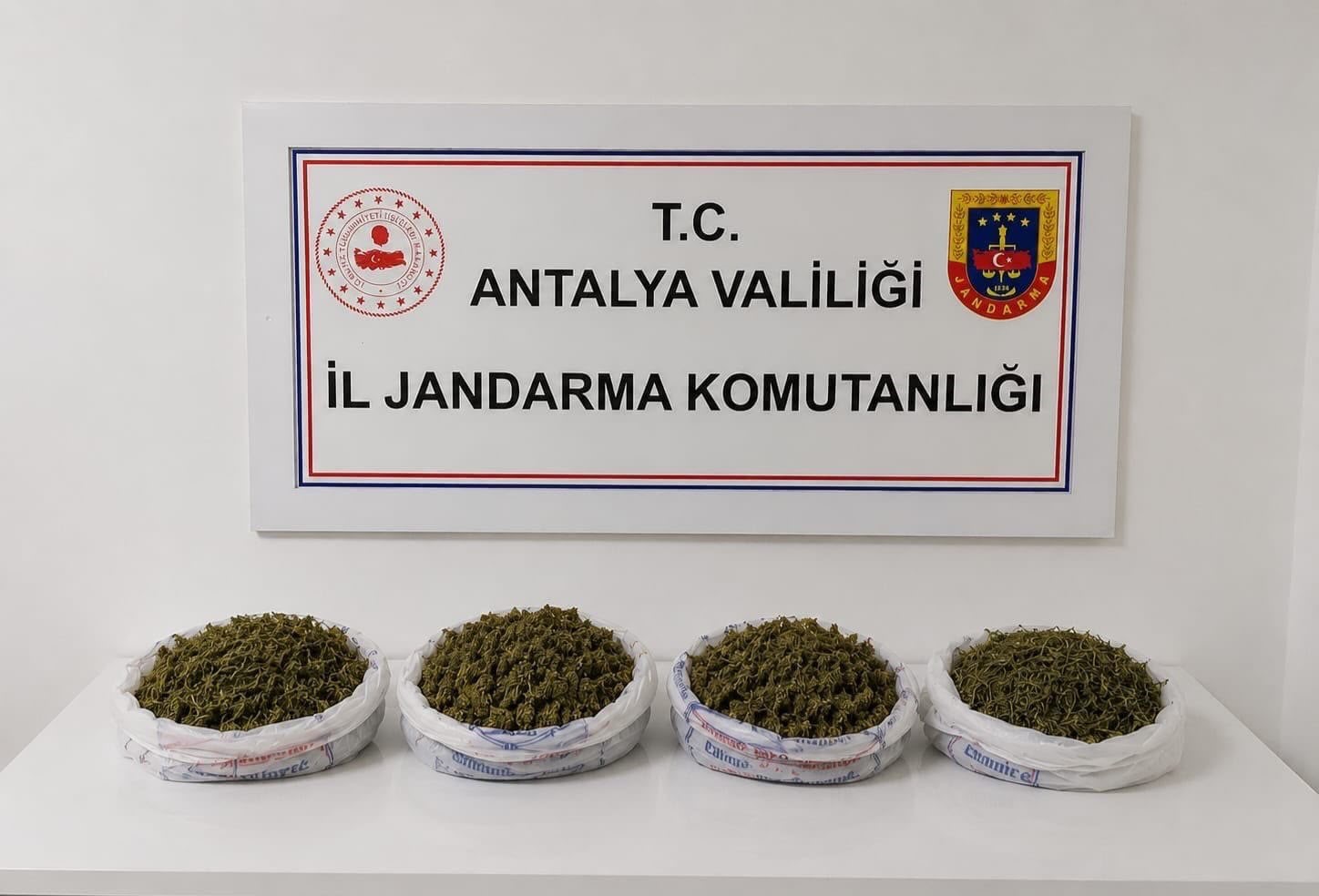 evde-yapilan-aramada-1-kilo-979-gram-kubar-esrar-ele-gecirildi