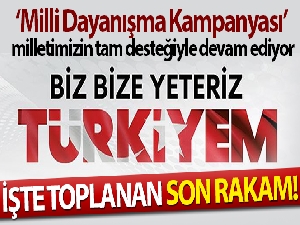 İletişim Başkanlığı: 'Milli Dayanışma Kampanyası'nda 846 milyon 606 bin lira toplandı'