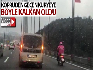 Köprüden geçen motosikletli kuryeye sürücüler kalkan oldu
