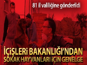 İçişleri Bakanlığından 'Sokak Hayvanları' genelgesi