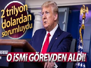 Trump, Pandemi ile Mücadele Denetleme Komitesi Başkanı Fine'ı görevden aldı