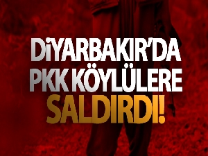 Diyarbakır'da PKK köylülere saldırdı!